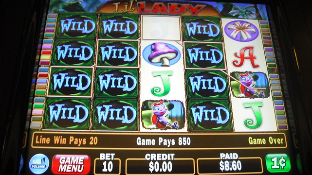 Lady Bug Themed Slot Machine