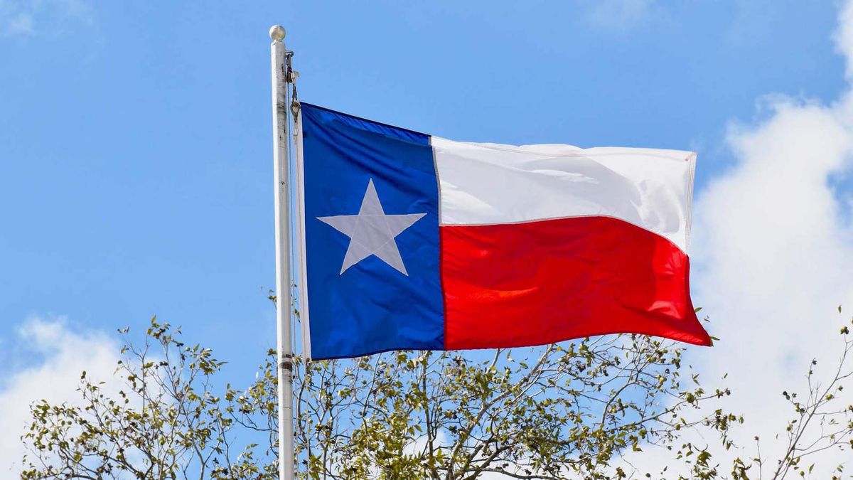 Texas State Flag