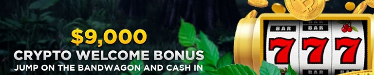 Wild Casino Crypto Bonus